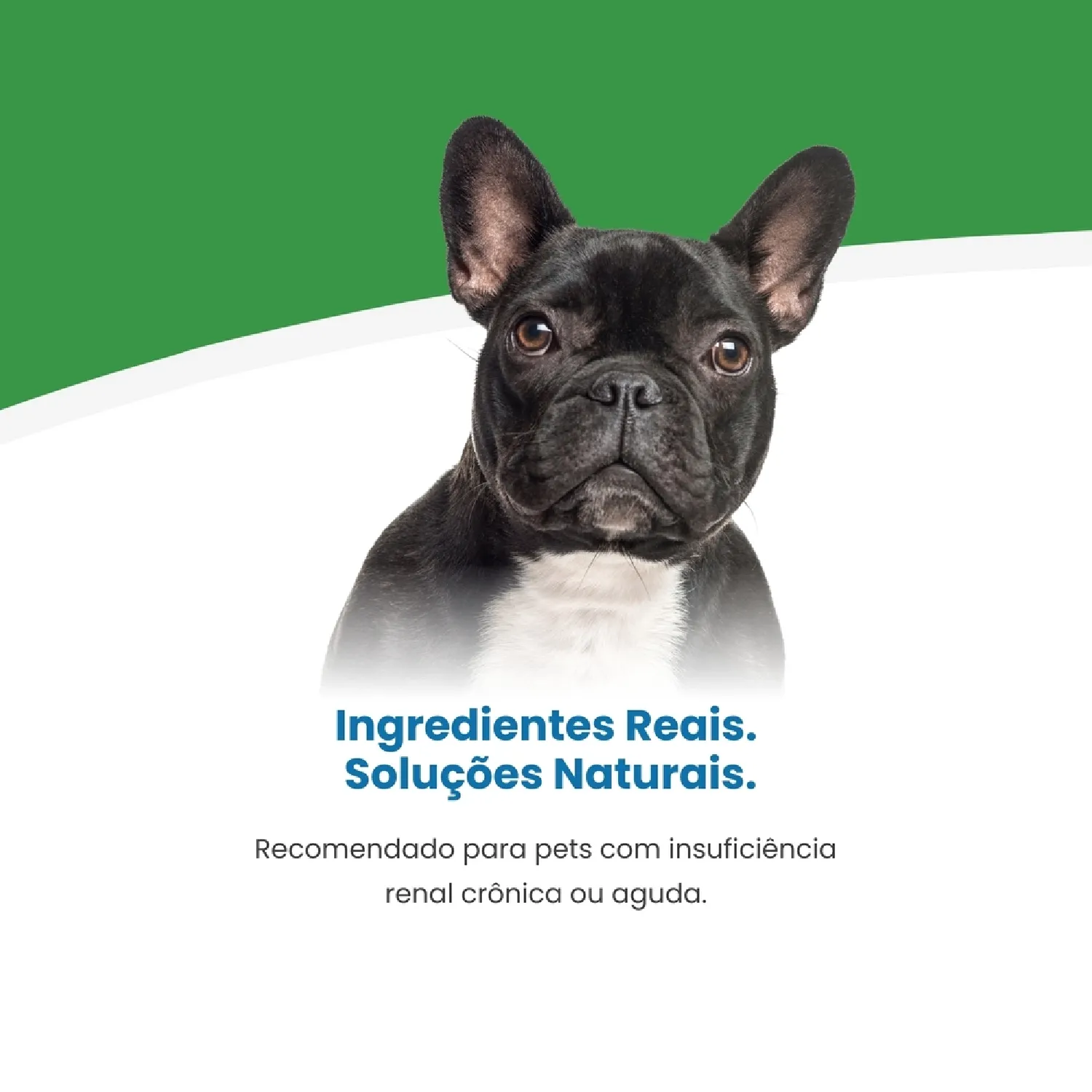 Racao Vet Life Natural Mini Canine Renal 4
